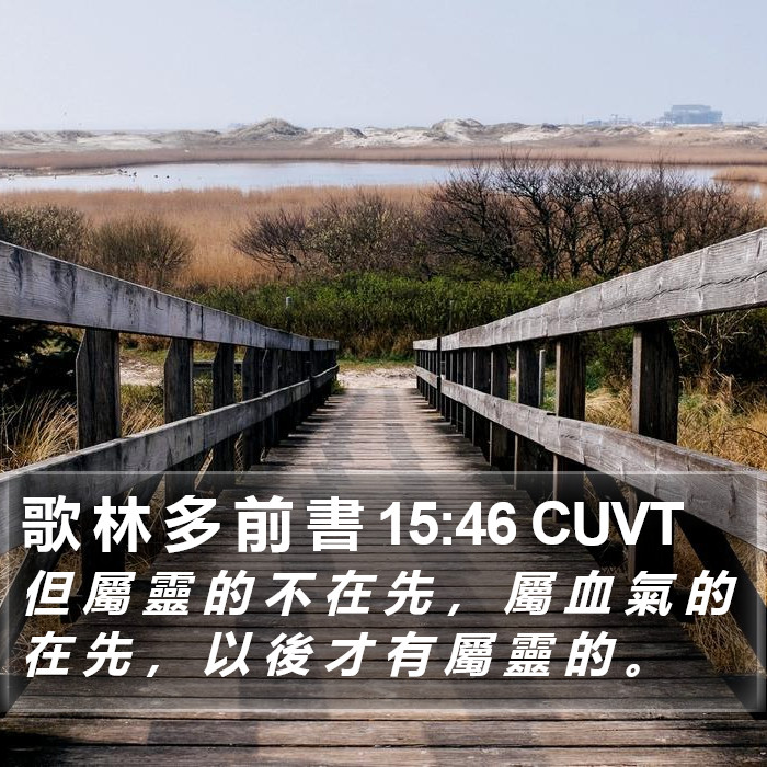 歌 林 多 前 書 15:46 CUVT Bible Study