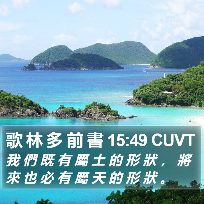 歌 林 多 前 書 15:49 CUVT Bible Study