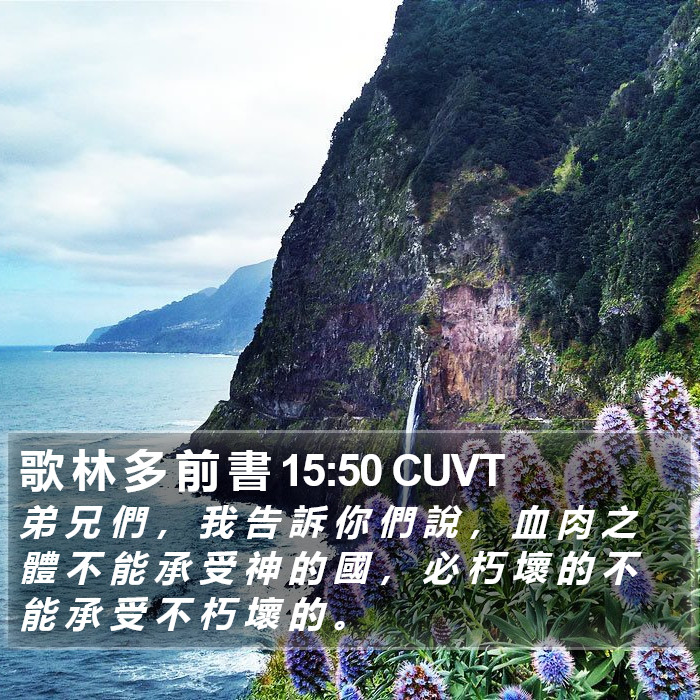 歌 林 多 前 書 15:50 CUVT Bible Study