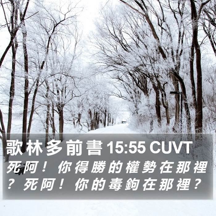 歌 林 多 前 書 15:55 CUVT Bible Study