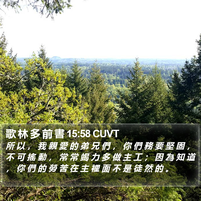 歌 林 多 前 書 15:58 CUVT Bible Study