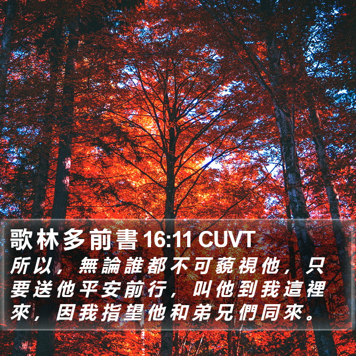 歌 林 多 前 書 16:11 CUVT Bible Study