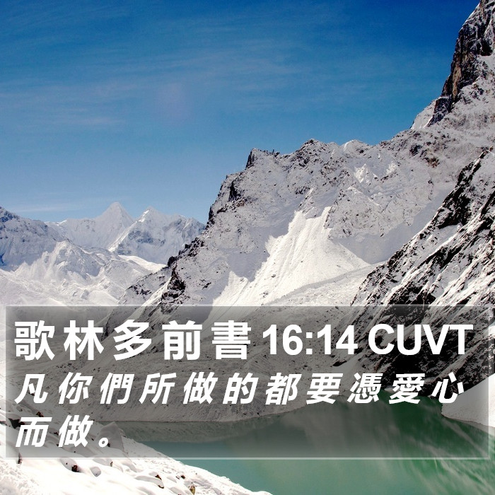歌 林 多 前 書 16:14 CUVT Bible Study