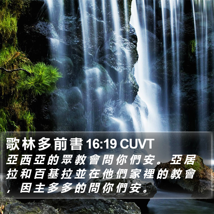 歌 林 多 前 書 16:19 CUVT Bible Study
