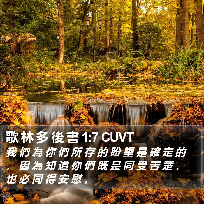 歌 林 多 後 書 1:7 CUVT Bible Study