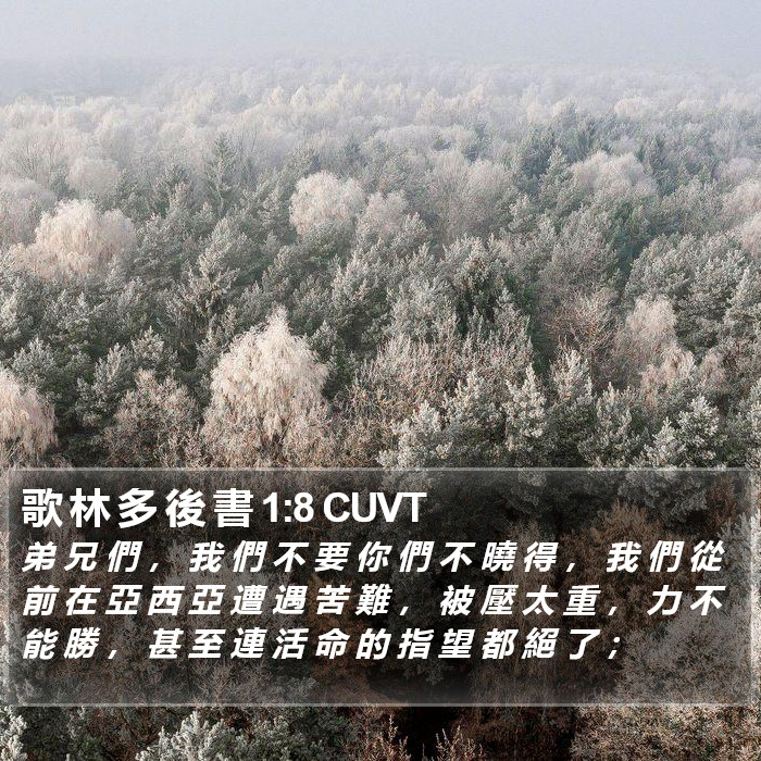 歌 林 多 後 書 1:8 CUVT Bible Study