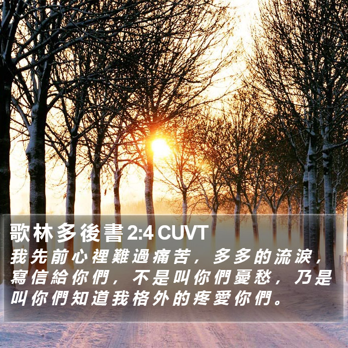 歌 林 多 後 書 2:4 CUVT Bible Study