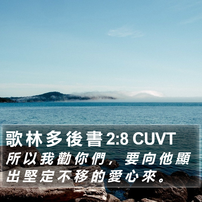 歌 林 多 後 書 2:8 CUVT Bible Study