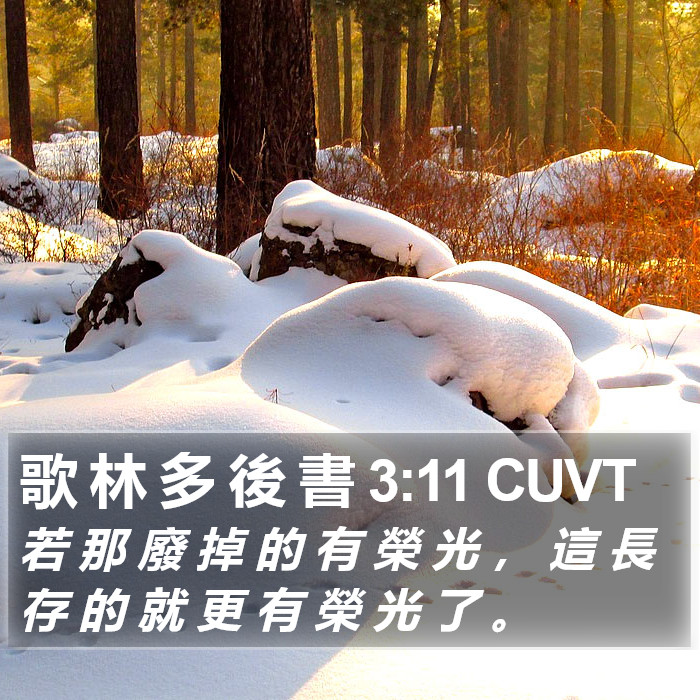 歌 林 多 後 書 3:11 CUVT Bible Study