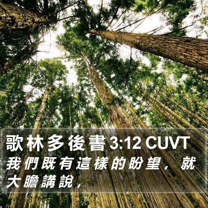 歌 林 多 後 書 3:12 CUVT Bible Study