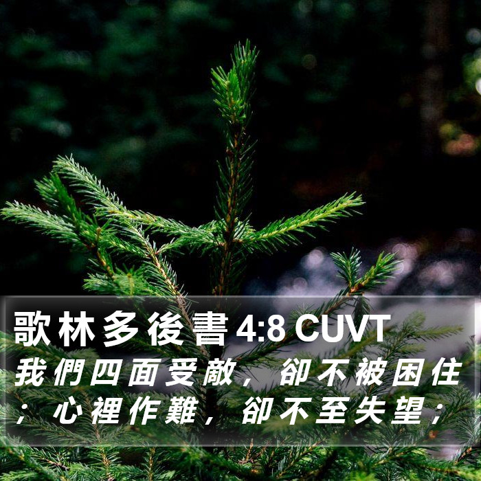 歌 林 多 後 書 4:8 CUVT Bible Study