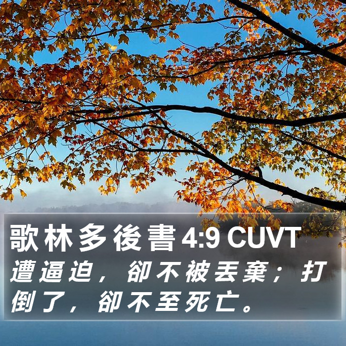 歌 林 多 後 書 4:9 CUVT Bible Study