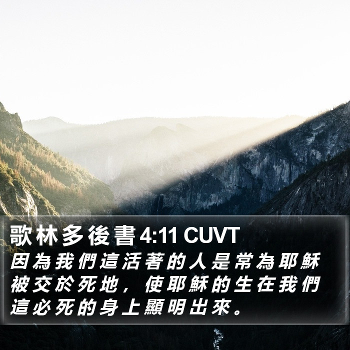 歌 林 多 後 書 4:11 CUVT Bible Study