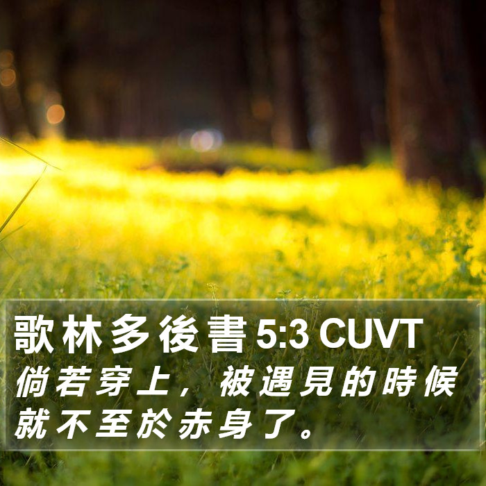 歌 林 多 後 書 5:3 CUVT Bible Study