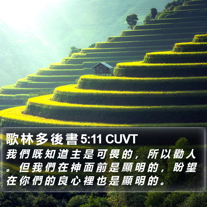 歌 林 多 後 書 5:11 CUVT Bible Study