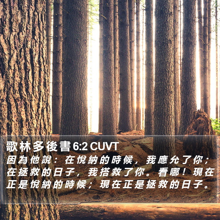 歌 林 多 後 書 6:2 CUVT Bible Study