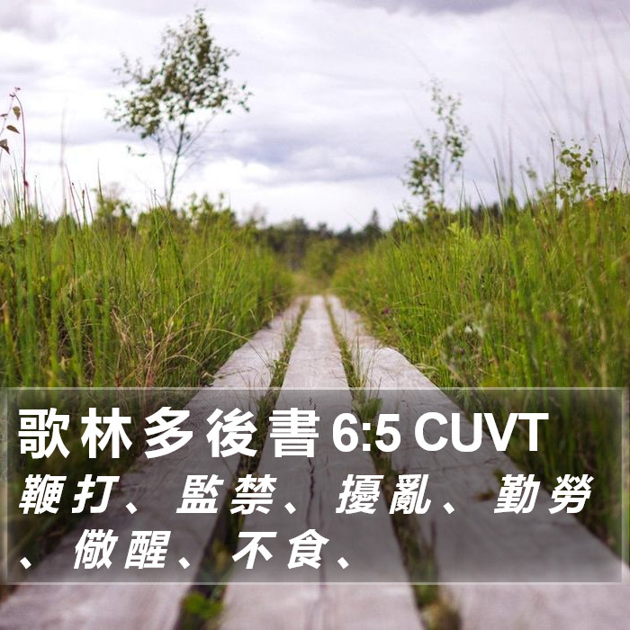 歌 林 多 後 書 6:5 CUVT Bible Study