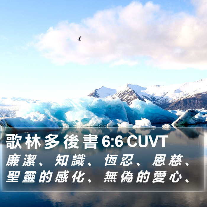 歌 林 多 後 書 6:6 CUVT Bible Study