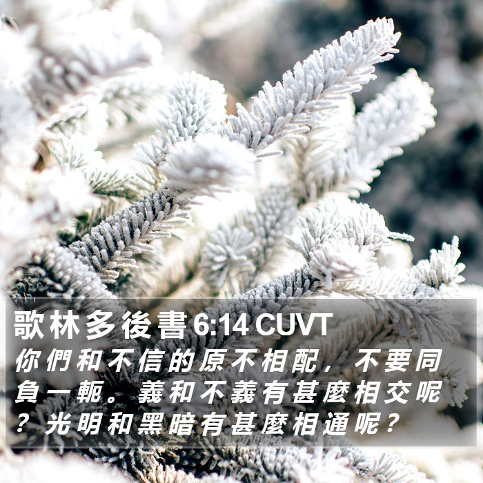 歌 林 多 後 書 6:14 CUVT Bible Study