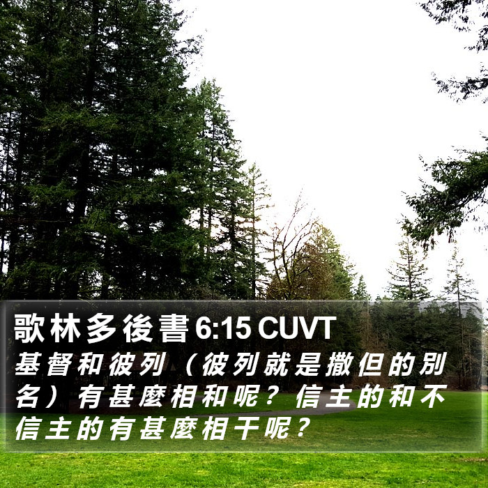 歌 林 多 後 書 6:15 CUVT Bible Study