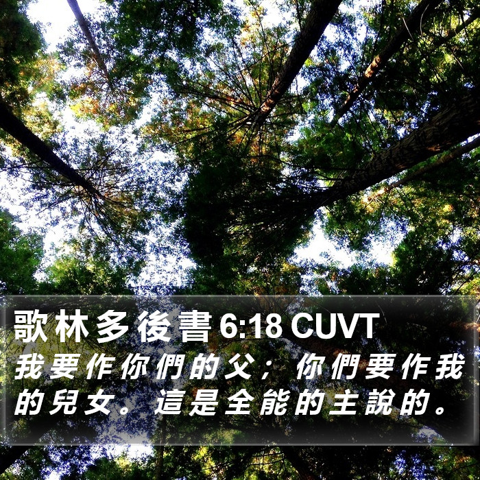 歌 林 多 後 書 6:18 CUVT Bible Study