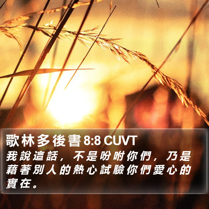 歌 林 多 後 書 8:8 CUVT Bible Study