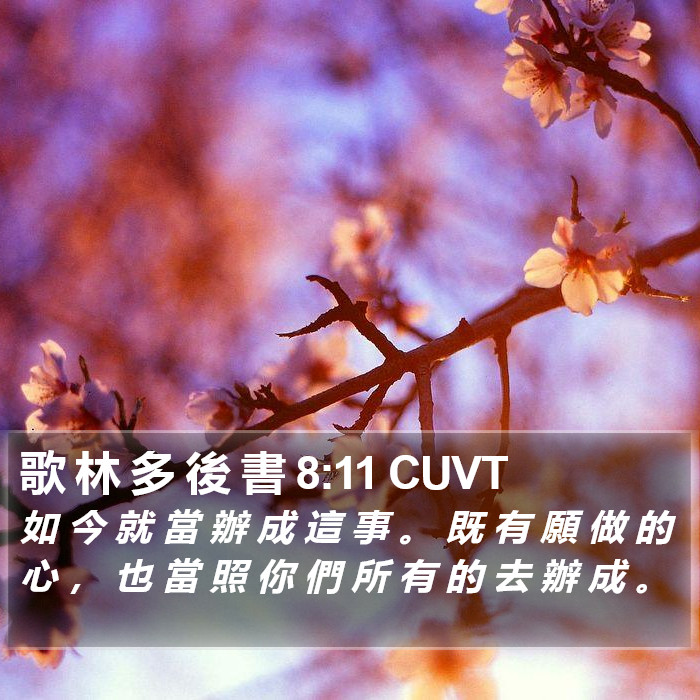 歌 林 多 後 書 8:11 CUVT Bible Study