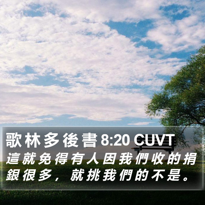 歌 林 多 後 書 8:20 CUVT Bible Study