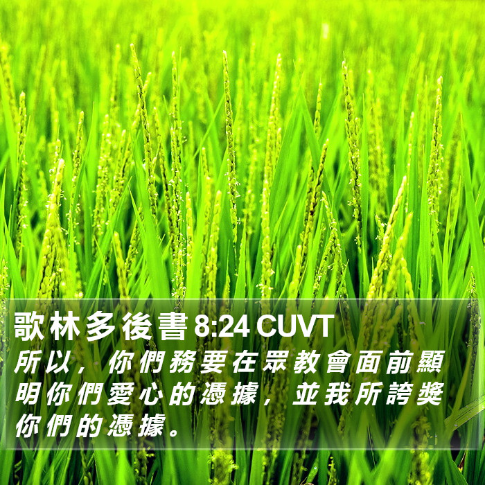 歌 林 多 後 書 8:24 CUVT Bible Study