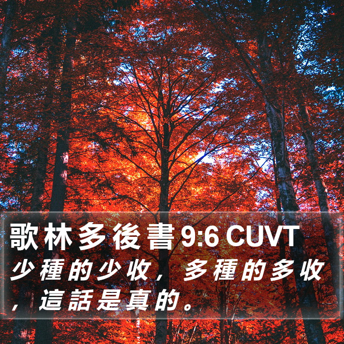 歌 林 多 後 書 9:6 CUVT Bible Study