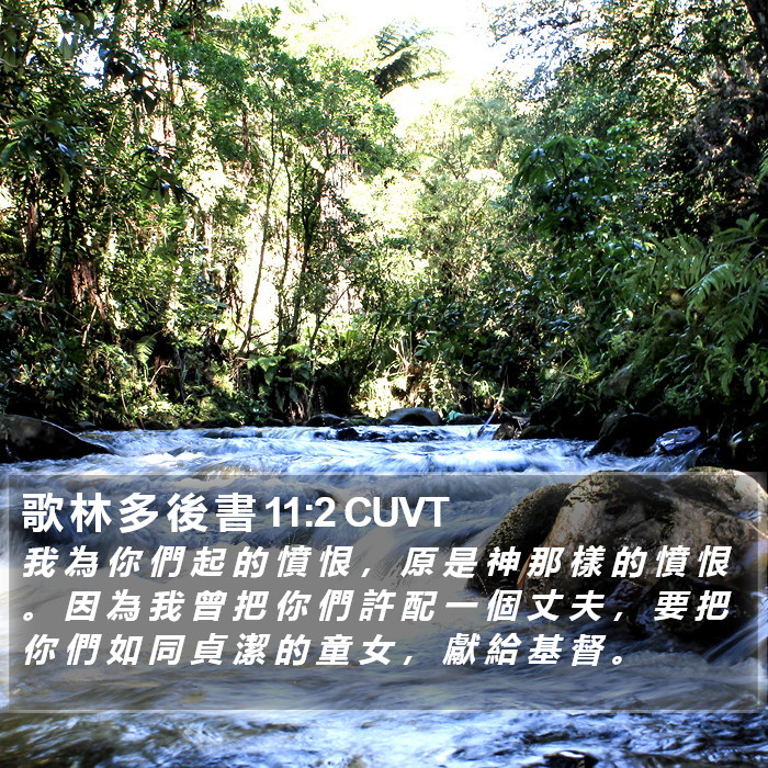 歌 林 多 後 書 11:2 CUVT Bible Study