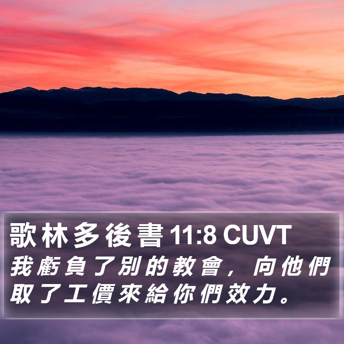 歌 林 多 後 書 11:8 CUVT Bible Study