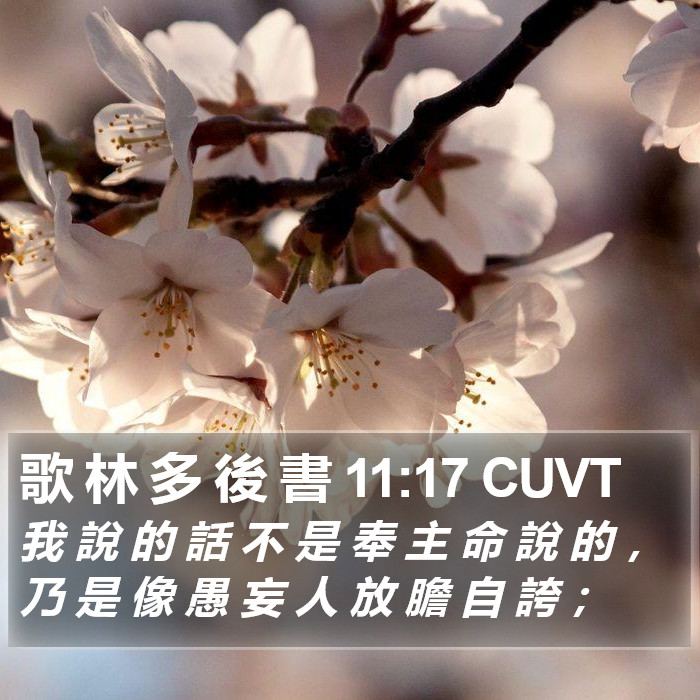 歌 林 多 後 書 11:17 CUVT Bible Study