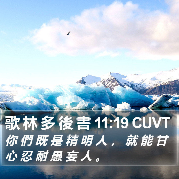歌 林 多 後 書 11:19 CUVT Bible Study