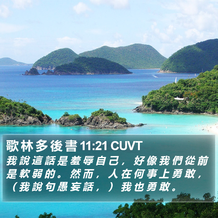 歌 林 多 後 書 11:21 CUVT Bible Study