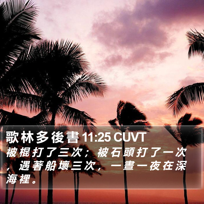 歌 林 多 後 書 11:25 CUVT Bible Study