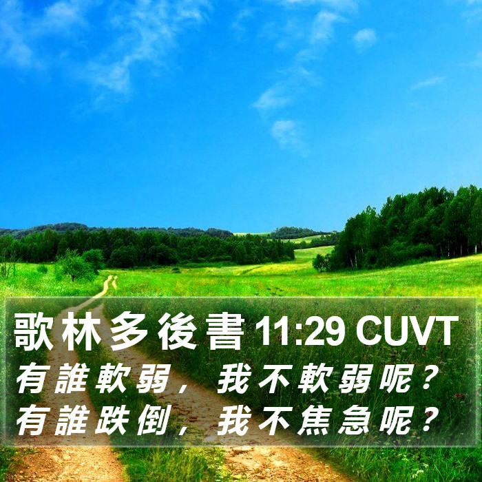 歌 林 多 後 書 11:29 CUVT Bible Study