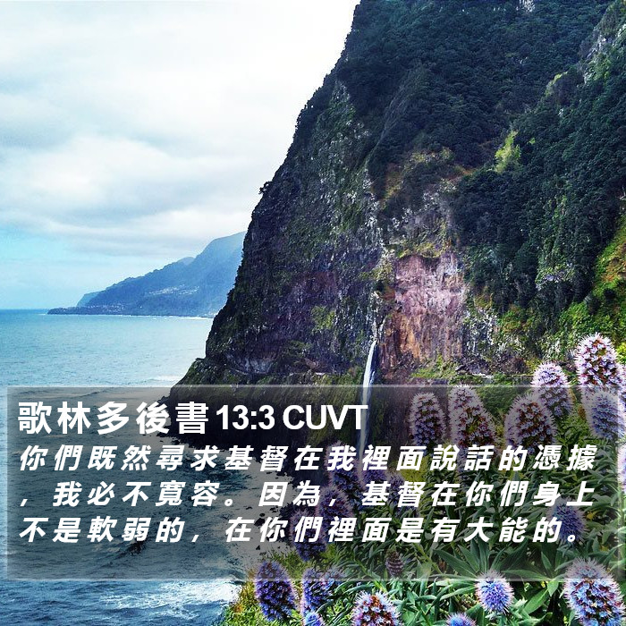 歌 林 多 後 書 13:3 CUVT Bible Study