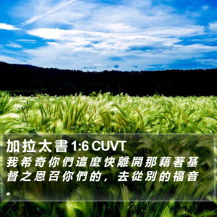 加 拉 太 書 1:6 CUVT Bible Study