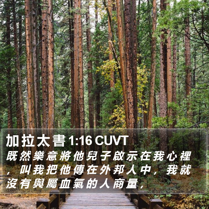 加 拉 太 書 1:16 CUVT Bible Study