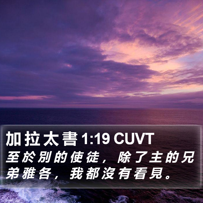 加 拉 太 書 1:19 CUVT Bible Study