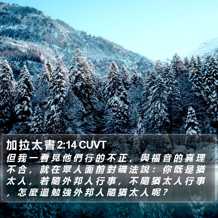 加 拉 太 書 2:14 CUVT Bible Study