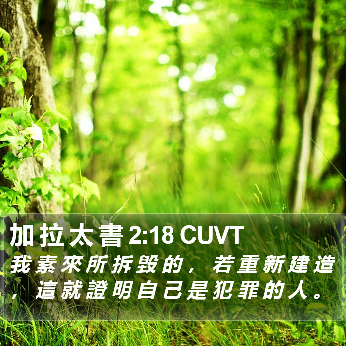 加 拉 太 書 2:18 CUVT Bible Study