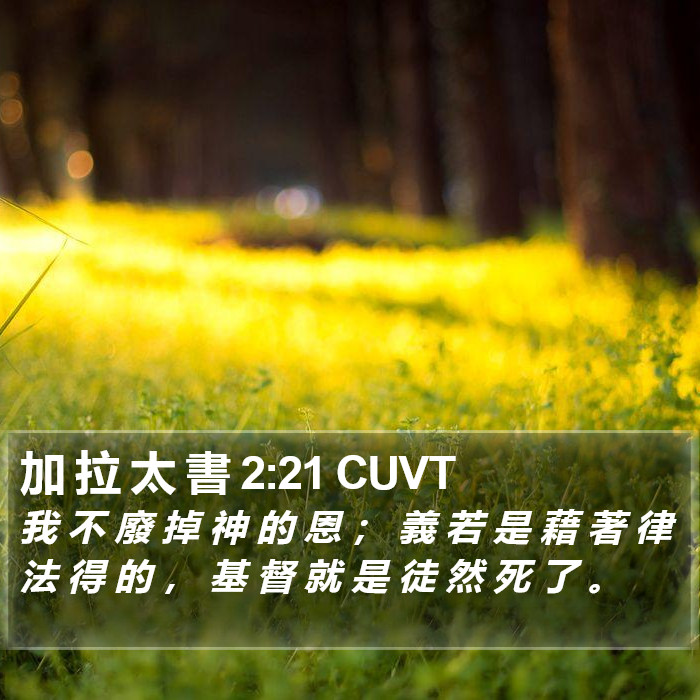加 拉 太 書 2:21 CUVT Bible Study