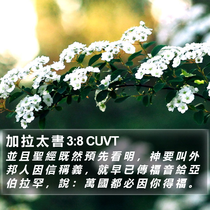 加 拉 太 書 3:8 CUVT Bible Study