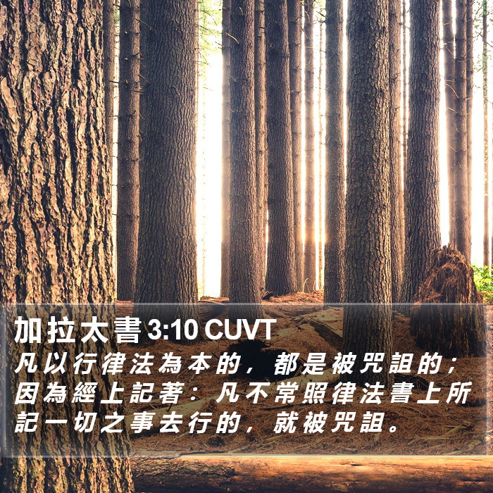 加 拉 太 書 3:10 CUVT Bible Study