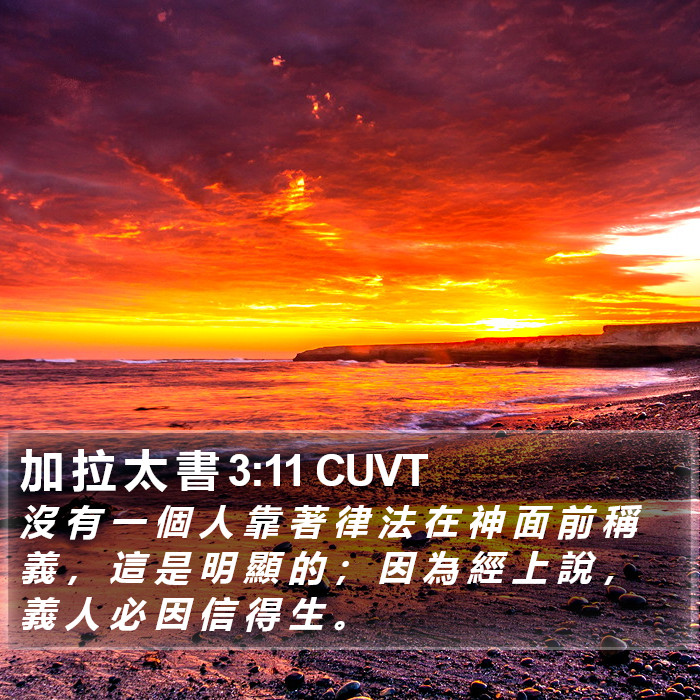 加 拉 太 書 3:11 CUVT Bible Study