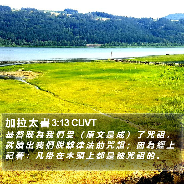 加 拉 太 書 3:13 CUVT Bible Study