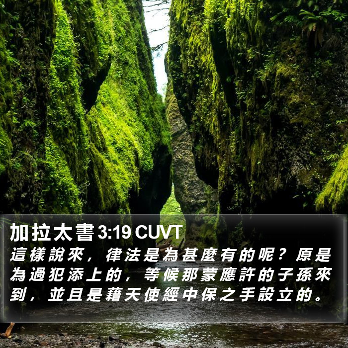 加 拉 太 書 3:19 CUVT Bible Study