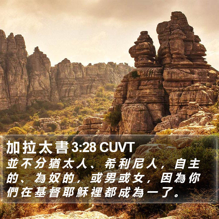 加 拉 太 書 3:28 CUVT Bible Study